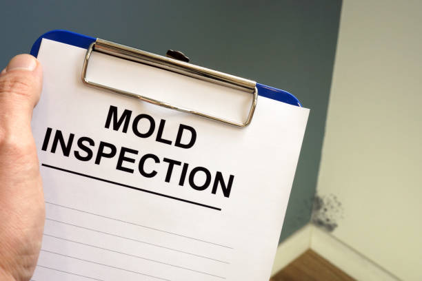 Best Forensic Mold Investigation  in Arlington, VA